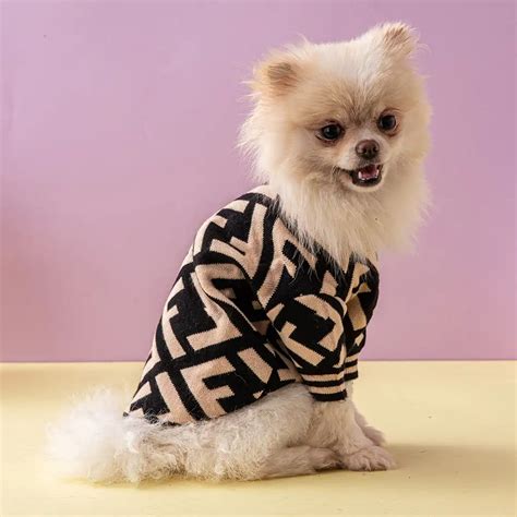 dog fendi sweater|fendi high low cashmere jumper.